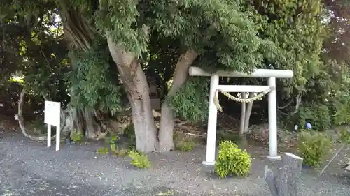 神社(名称不明)の鳥居