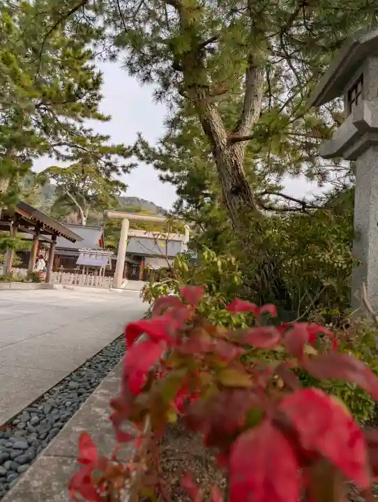 丹後一ノ宮 元伊勢 籠神社の{uncategorized: "未分類", other: "その他", undefined: "問題あり", building: "その他建物", grave: "お墓", sacred_gate: "鳥居", guardian: "狛犬", statue: "像", buddha: "仏像", history: "歴史", nature: "自然", garden: "庭園", animal: "動物", pagoda: "塔", temizu: "手水舎", mountain_gate: "山門・神門", sanctuary: "本殿・本堂", subordinate: "末社・摂社", art: "芸術", scenery: "景色", jizo: "地蔵", ema: "絵馬", goshuin: "御朱印", omikuji: "おみくじ", items: "授与品その他", amulet: "お守り", goshuincho: "御朱印帳", eats: "食事", festival: "お祭り", votive_dance: "神楽", shichigosan: "七五三参", wedding: "結婚式", experience: "体験その他", initially: "初詣", around: "周辺", anti_infection: "感染症対策"}