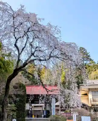 宝登山神社(埼玉県)