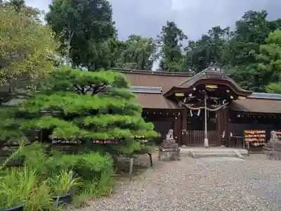 梅宮大社の本殿・本堂