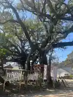 野島神社(宮崎県)