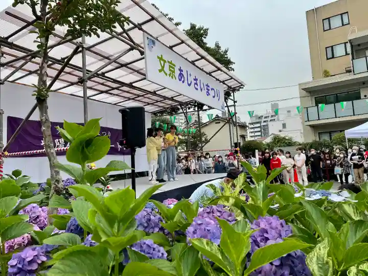 白山神社のお祭り
