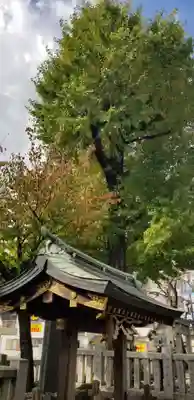 綾瀬神社の自然