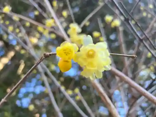 宝登山神社奥宮(埼玉県)