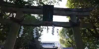 大井神社の鳥居