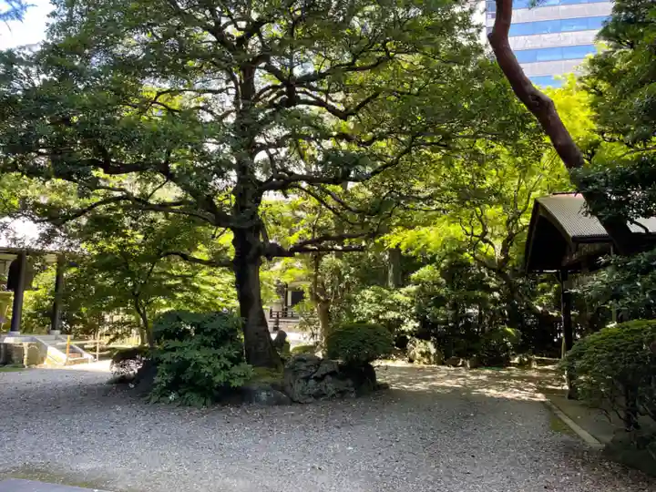 天徳寺(東京都)
