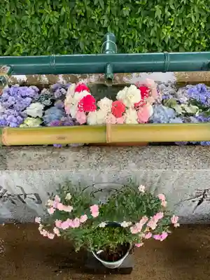 伊和志津神社(兵庫県)