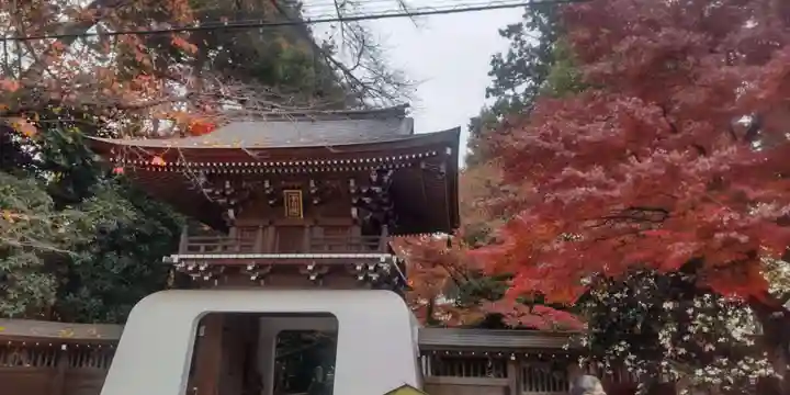 布多天神社(東京都)