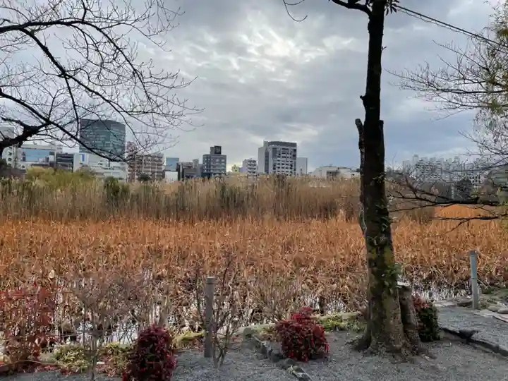 寛永寺不忍池弁天堂(東京都)
