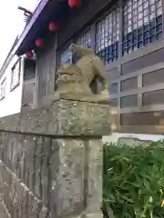 金刀比羅神社の狛犬