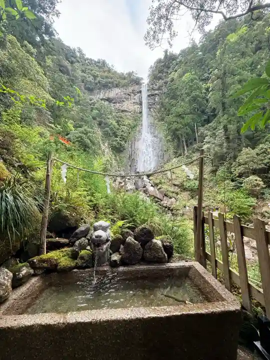 飛瀧神社(熊野那智大社別宮)の{uncategorized: "未分類", other: "その他", undefined: "問題あり", building: "その他建物", grave: "お墓", sacred_gate: "鳥居", guardian: "狛犬", statue: "像", buddha: "仏像", history: "歴史", nature: "自然", garden: "庭園", animal: "動物", pagoda: "塔", temizu: "手水舎", mountain_gate: "山門・神門", sanctuary: "本殿・本堂", subordinate: "末社・摂社", art: "芸術", scenery: "景色", jizo: "地蔵", ema: "絵馬", goshuin: "御朱印", omikuji: "おみくじ", items: "授与品その他", amulet: "お守り", goshuincho: "御朱印帳", eats: "食事", festival: "お祭り", votive_dance: "神楽", shichigosan: "七五三参", wedding: "結婚式", experience: "体験その他", initially: "初詣", around: "周辺", anti_infection: "感染症対策"}
