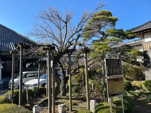 金剛寺(東京都)