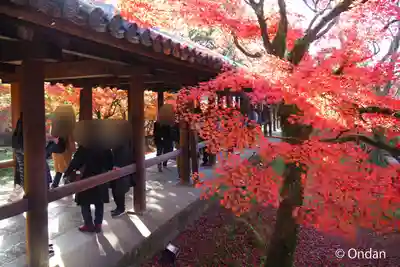 東福禅寺(東福寺)のその他建物