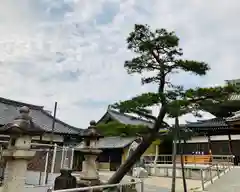 荒子観音（観音寺）(愛知県)