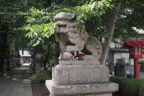 神炊館神社 ⁂奥州須賀川総鎮守⁂の狛犬