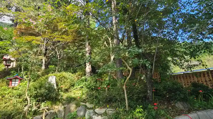 大善寺(山梨県)