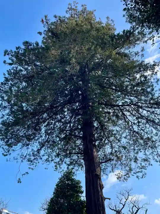 瑞円寺の{uncategorized: "未分類", other: "その他", undefined: "問題あり", building: "その他建物", grave: "お墓", sacred_gate: "鳥居", guardian: "狛犬", statue: "像", buddha: "仏像", history: "歴史", nature: "自然", garden: "庭園", animal: "動物", pagoda: "塔", temizu: "手水舎", mountain_gate: "山門・神門", sanctuary: "本殿・本堂", subordinate: "末社・摂社", art: "芸術", scenery: "景色", jizo: "地蔵", ema: "絵馬", goshuin: "御朱印", omikuji: "おみくじ", items: "授与品その他", amulet: "お守り", goshuincho: "御朱印帳", eats: "食事", festival: "お祭り", votive_dance: "神楽", shichigosan: "七五三参", wedding: "結婚式", experience: "体験その他", initially: "初詣", around: "周辺", anti_infection: "感染症対策"}