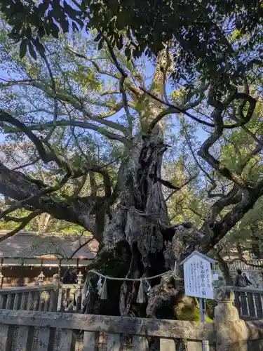大山祇神社(愛媛県)