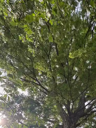 日隅神社(静岡県)
