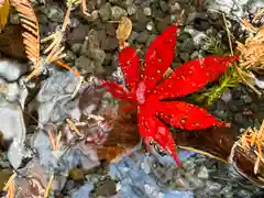 富士山本宮浅間大社(静岡県)