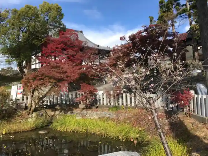 くろ谷 金戒光明寺(京都府)