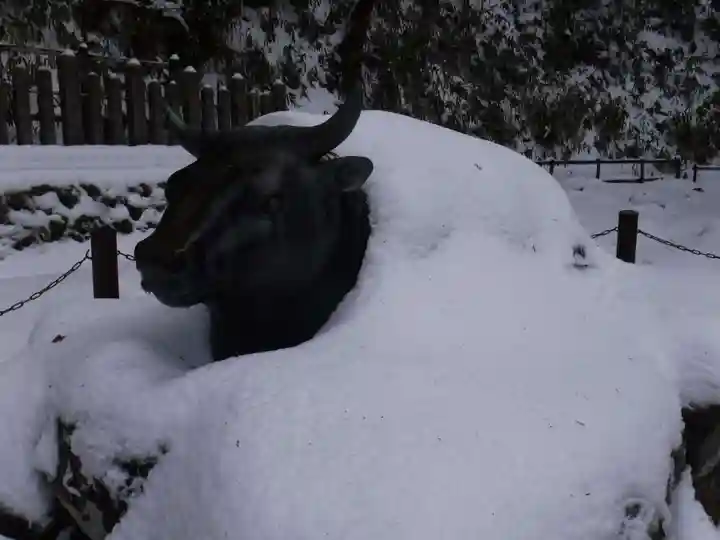 転法輪寺の狛犬