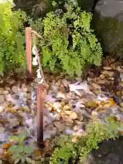 川越氷川神社の授与品その他