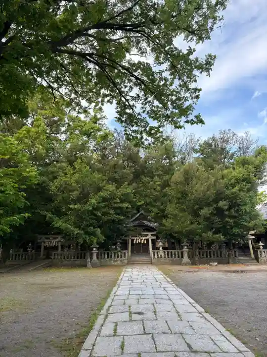 小竹八幡神社の{uncategorized: "未分類", other: "その他", undefined: "問題あり", building: "その他建物", grave: "お墓", sacred_gate: "鳥居", guardian: "狛犬", statue: "像", buddha: "仏像", history: "歴史", nature: "自然", garden: "庭園", animal: "動物", pagoda: "塔", temizu: "手水舎", mountain_gate: "山門・神門", sanctuary: "本殿・本堂", subordinate: "末社・摂社", art: "芸術", scenery: "景色", jizo: "地蔵", ema: "絵馬", goshuin: "御朱印", omikuji: "おみくじ", items: "授与品その他", amulet: "お守り", goshuincho: "御朱印帳", eats: "食事", festival: "お祭り", votive_dance: "神楽", shichigosan: "七五三参", wedding: "結婚式", experience: "体験その他", initially: "初詣", around: "周辺", anti_infection: "感染症対策"}