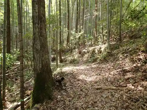 上一宮大粟神社の自然