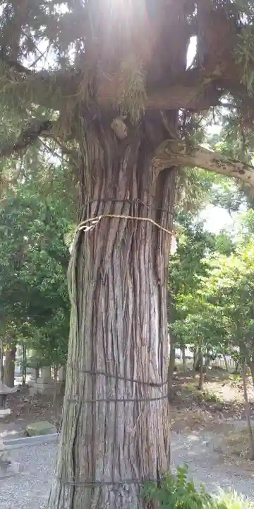 上野神社(滋賀県)