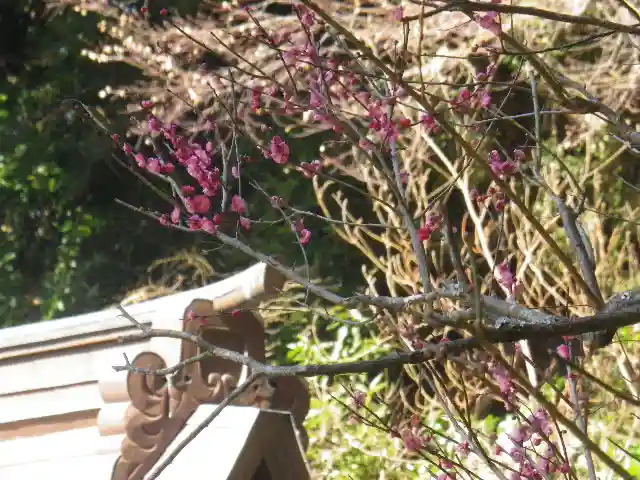 荏柄天神社のその他建物
