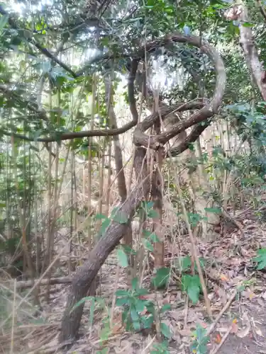 稲荷神社の自然