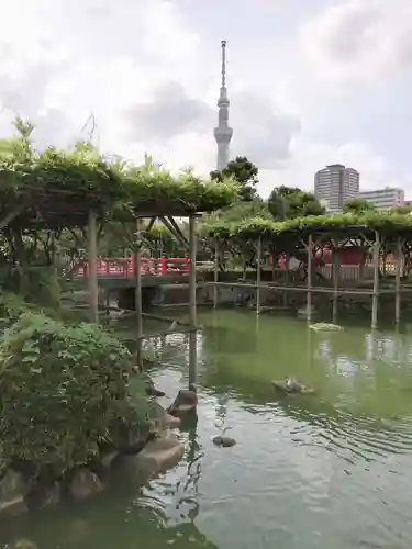 亀戸天神社の庭園