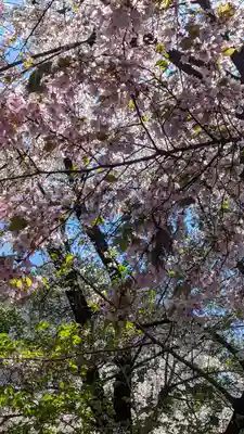 雙栗神社(京都府)