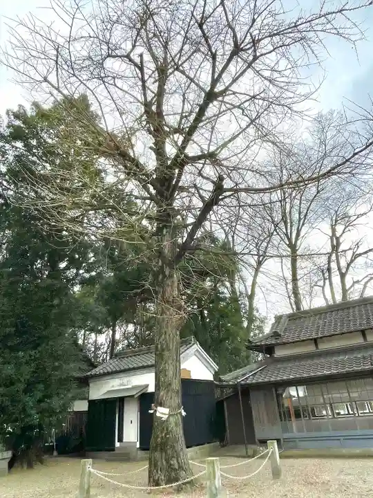 植木神社(三重県)