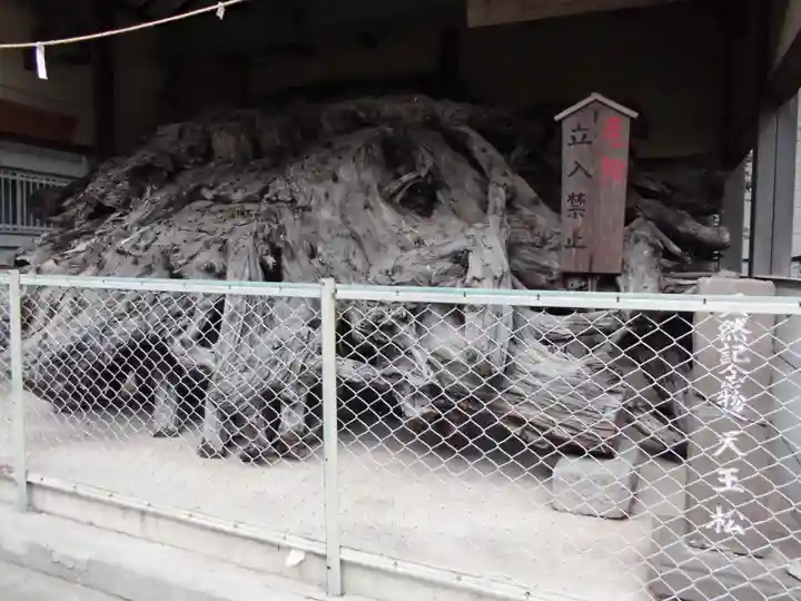 八坂神社のその他建物