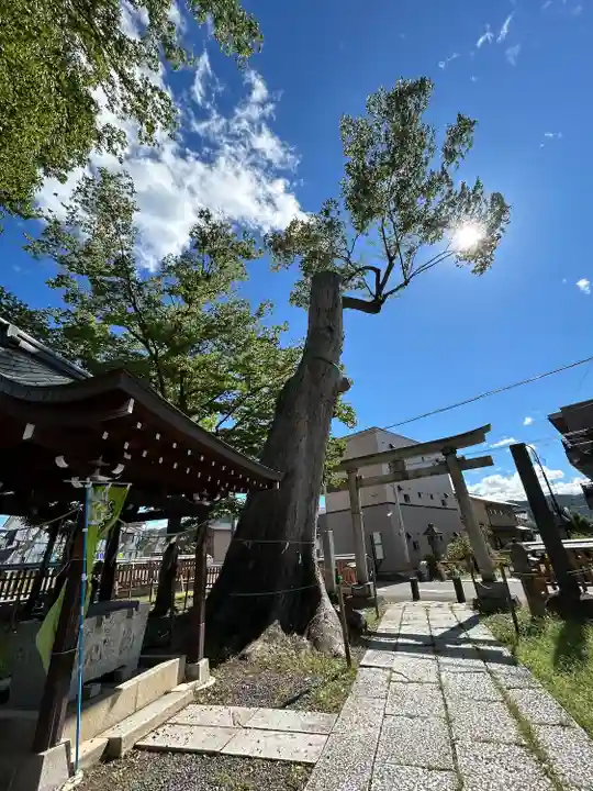 科野大宮社(長野県)