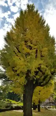 伏見三寳稲荷神社の自然