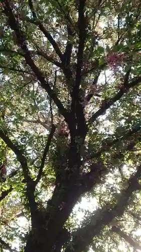 感通寺(東京都)