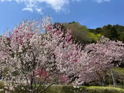 横山不動尊の{uncategorized: "未分類", other: "その他", undefined: "問題あり", building: "その他建物", grave: "お墓", sacred_gate: "鳥居", guardian: "狛犬", statue: "像", buddha: "仏像", history: "歴史", nature: "自然", garden: "庭園", animal: "動物", pagoda: "塔", temizu: "手水舎", mountain_gate: "山門・神門", sanctuary: "本殿・本堂", subordinate: "末社・摂社", art: "芸術", scenery: "景色", jizo: "地蔵", ema: "絵馬", goshuin: "御朱印", omikuji: "おみくじ", items: "授与品その他", amulet: "お守り", goshuincho: "御朱印帳", eats: "食事", festival: "お祭り", votive_dance: "神楽", shichigosan: "七五三参", wedding: "結婚式", experience: "体験その他", initially: "初詣", around: "周辺", anti_infection: "感染症対策"}