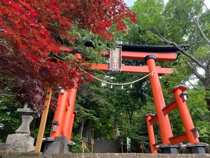 新倉富士浅間神社(山梨県)