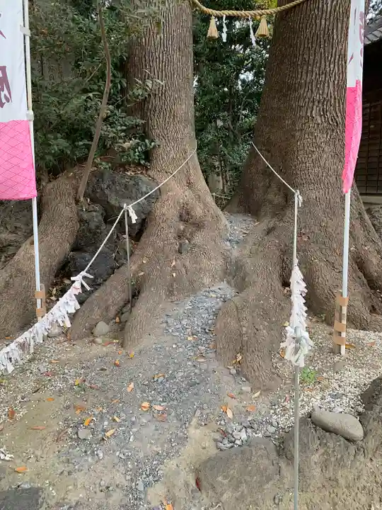 開運招福 飯玉神社の自然
