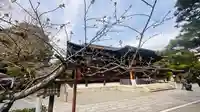 大報恩寺(千本釈迦堂)の本殿・本堂