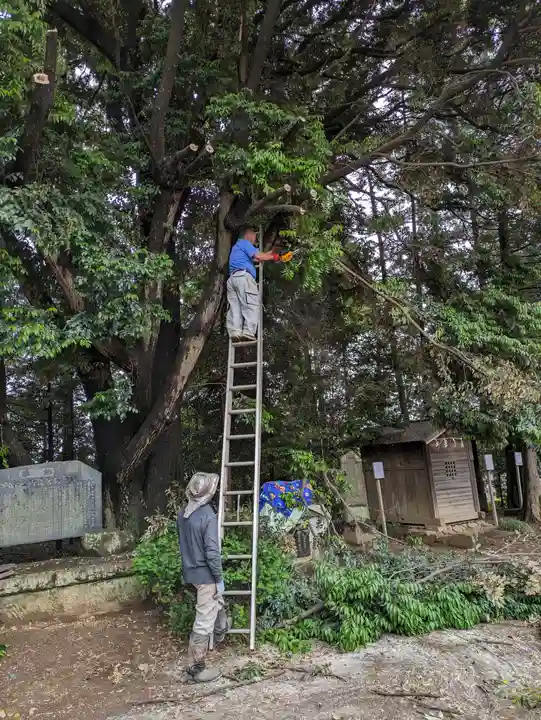 伏木香取神社(茨城県)
