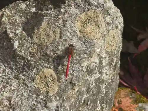 覚性律庵(滋賀県)