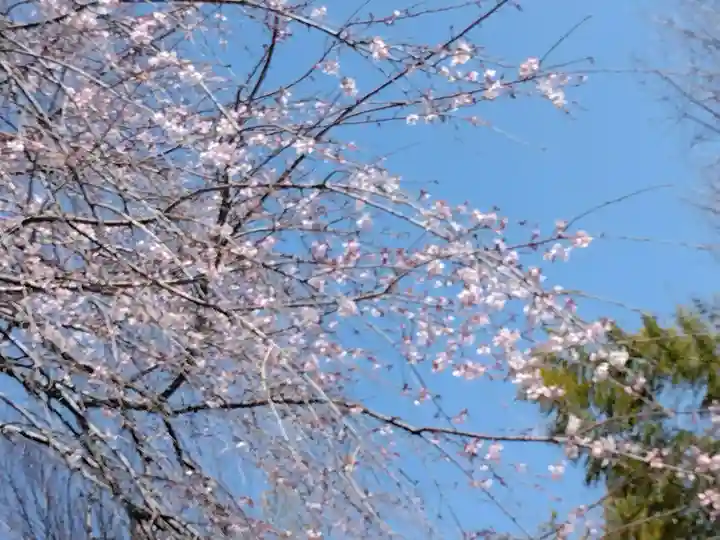 相頓寺(埼玉県)