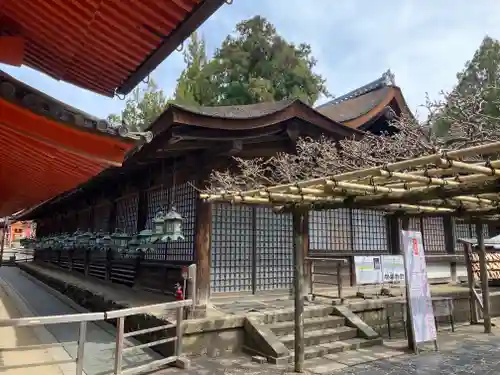 春日大社(奈良県)