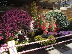 湯島天満宮の芸術