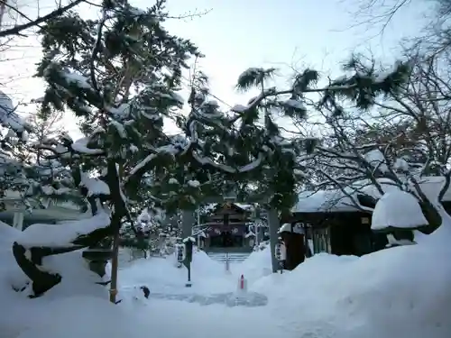 彌彦神社　(伊夜日子神社)の景色