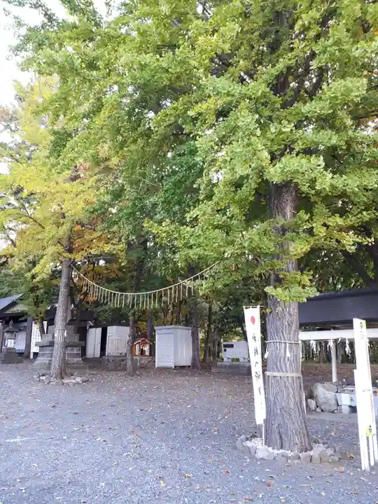 星置神社の自然